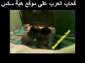 Anal Arabic Sex Tape Of Egyptian In Hijab