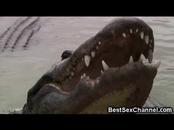 WTF Hot Babes Riding Alligators!