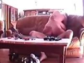 College Girl Big Tits Fuck Hidden Cam