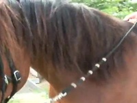 Unbelievably Awesome Lesbie Porn Around Couple Sexy Cowgirls Screwing Outside